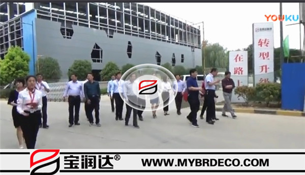 張雪飛市長，住建部長處長一行來訪寶潤達(dá)